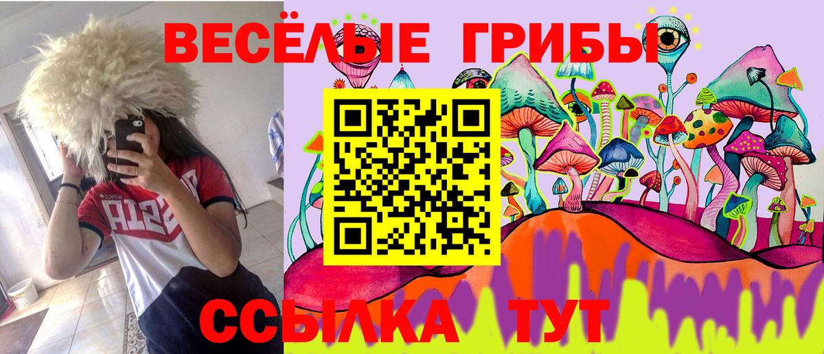 Белогорск  Галлюциногенные грибы Magic Shrooms  Вход с VPN 