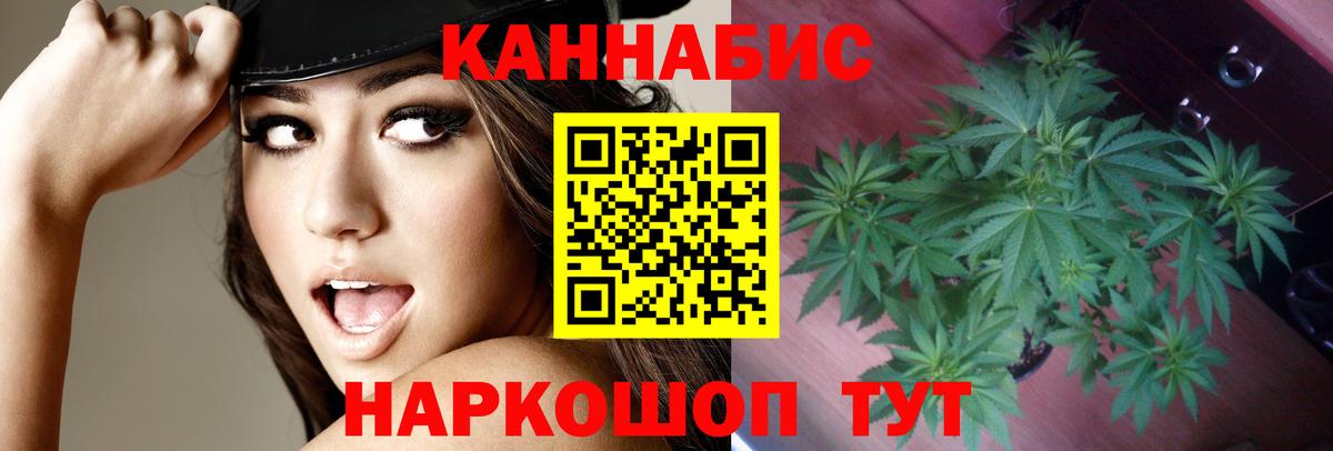 Белогорск  Бошки Шишки конопля  Каннабис Bruce Banner  Вход с VPN  Конопля тримм 